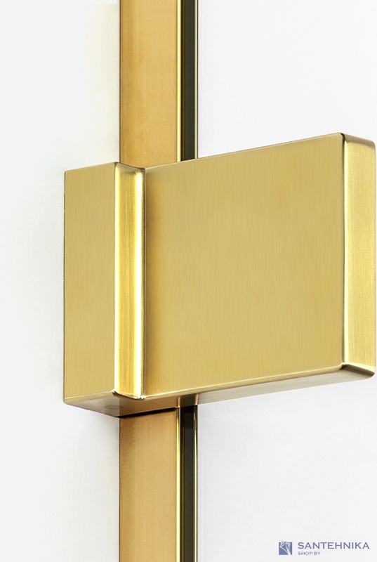 Душевая дверь в нишу New Trendy Avexa gold L 100 см