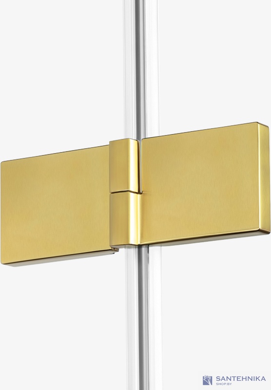 Душевая дверь в нишу New Trendy Avexa gold L 100 см