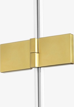 Душевая дверь в нишу New Trendy Avexa gold L 100 см - фото2