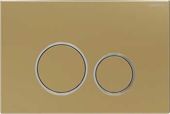 Смывная клавиша Burke тип 05, золото матовое/ хром глянец - фото