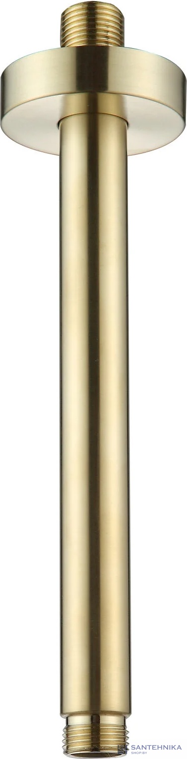 Душевой кронштейн 20 см AQUAme AQM8703BG, золото матовое