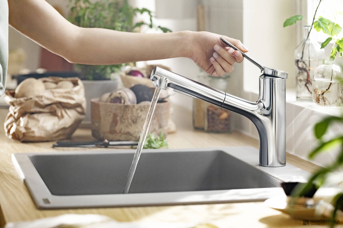 Смеситель для кухни Hansgrohe Zesis M33 74800000