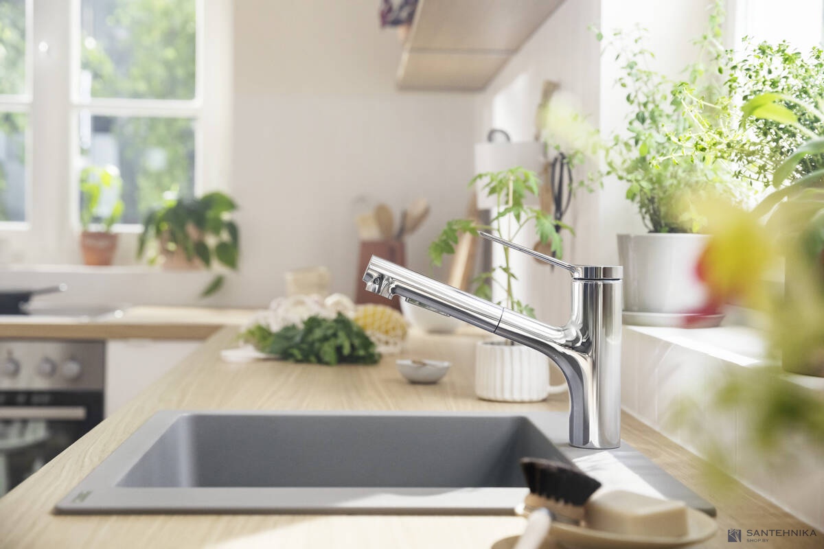 Смеситель для кухни Hansgrohe Zesis M33 74800000