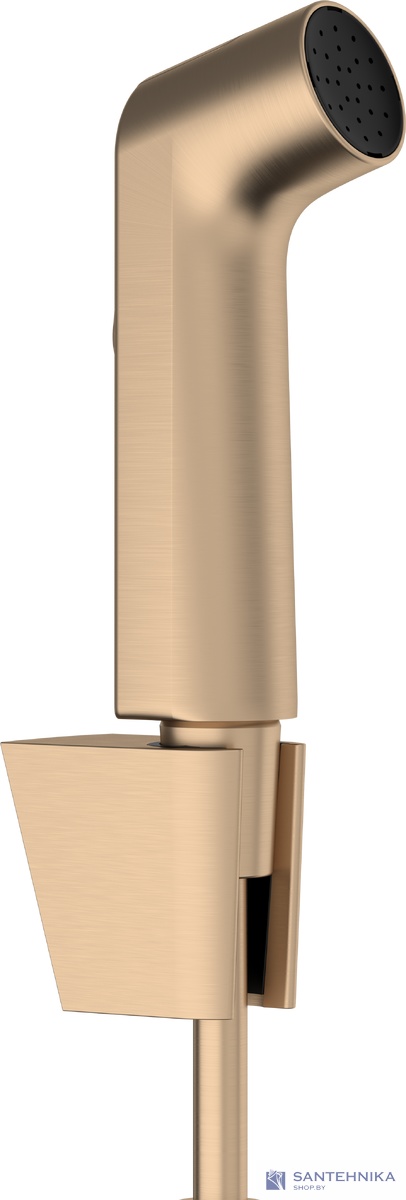 Набор псевдобиде Hansgrohe 29238140