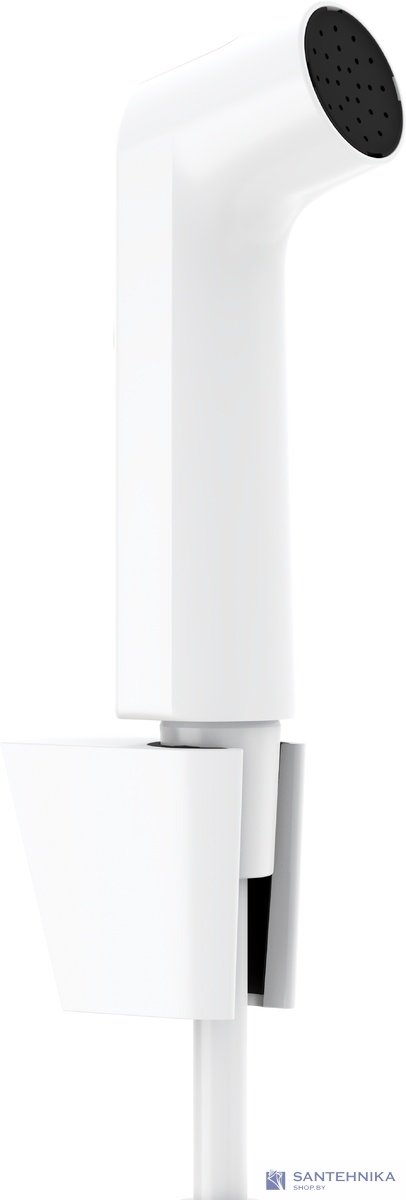 Набор псевдобиде Hansgrohe 29238700