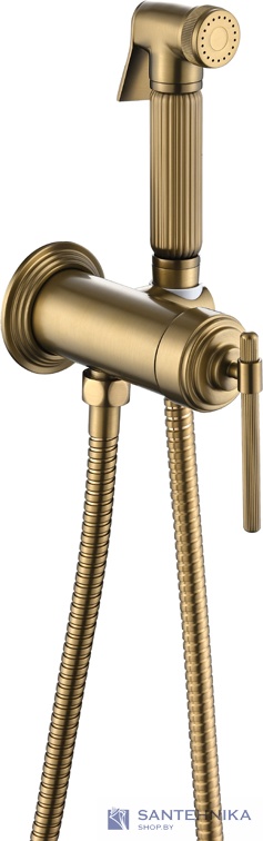 Гигиенический душ скрытого монтажа Boheme Eterna 177-BR