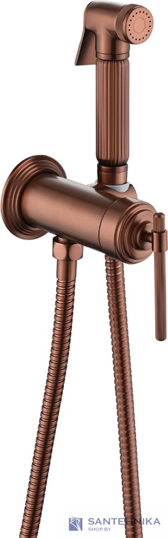 Гигиенический душ скрытого монтажа Boheme Eterna 177-CB