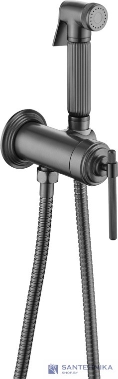 Гигиенический душ скрытого монтажа Boheme Eterna 177-GM