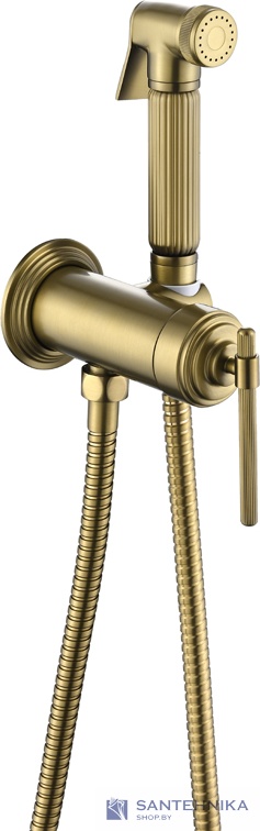 Гигиенический душ скрытого монтажа Boheme Eterna 177-MG