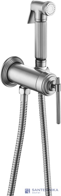 Гигиенический душ скрытого монтажа Boheme Eterna 177-NB