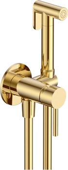 Гигиенический душ скрытого монтажа AQUAme Siena AQM6217GG, золото - фото