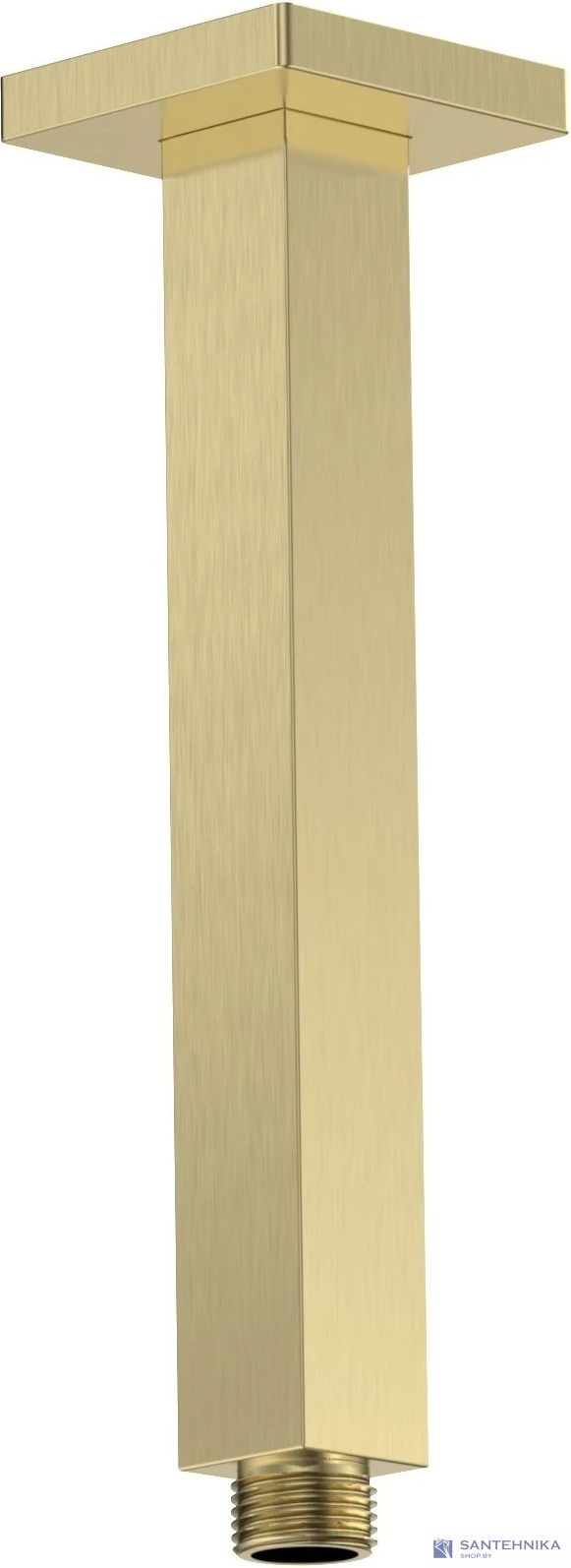 Душевой кронштейн 20 см AQUAme Savona AQM8705BG, золото матовое