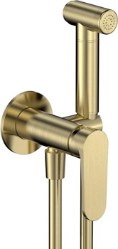 Гигиенический душ скрытого монтажа AQUAme Novara AQM6917BG, золото матовое - фото