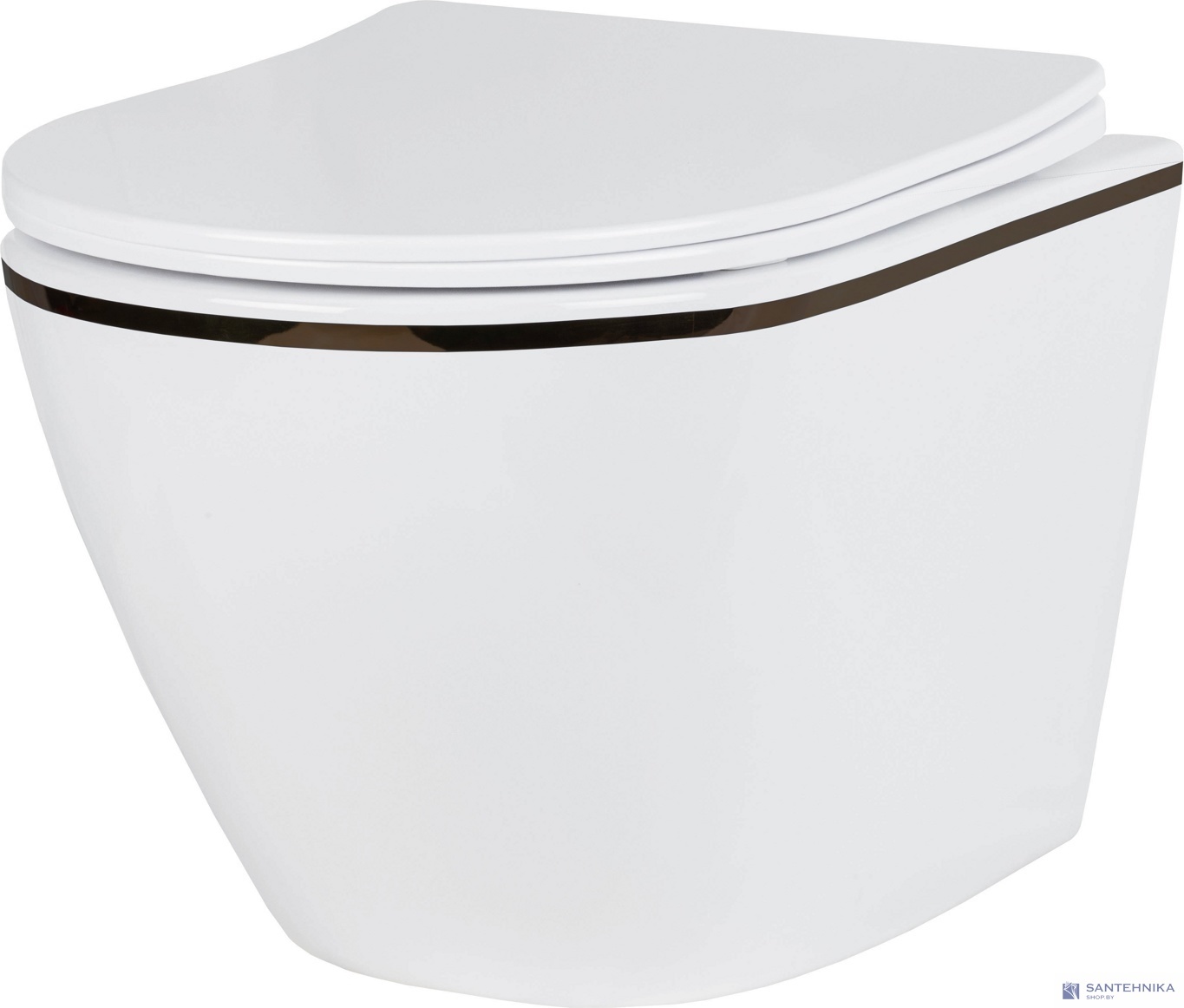 Комплект 6 в1 инсталляции и подвесного унитаза Roxen StounFix Dual Fresh 968427