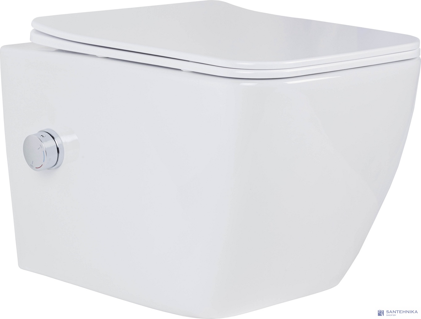 Комплект 6 в1 инсталляции и подвесного унитаза Roxen StounFix Dual Fresh 966127