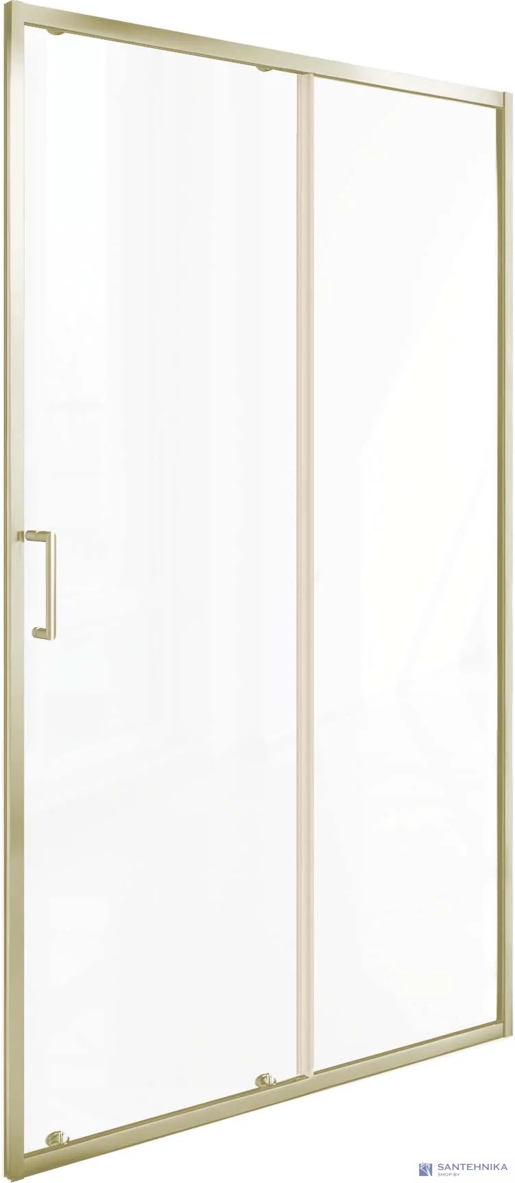 Душевая дверь GooD DooR Lite WTW-120-C-BG