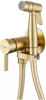 Смеситель с гигиеническим душем встраиваемый Raglo R20.54.03 - фото