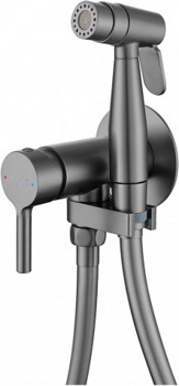 Смеситель с гигиеническим душем встраиваемый Raglo R20.54.09 - фото