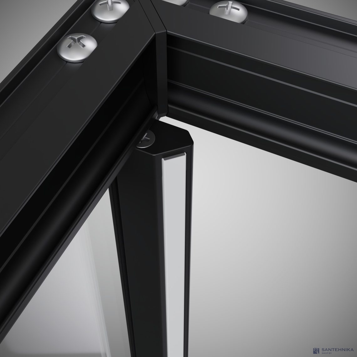 Душевой угол Radaway Alienta CD II Black 100x80 см