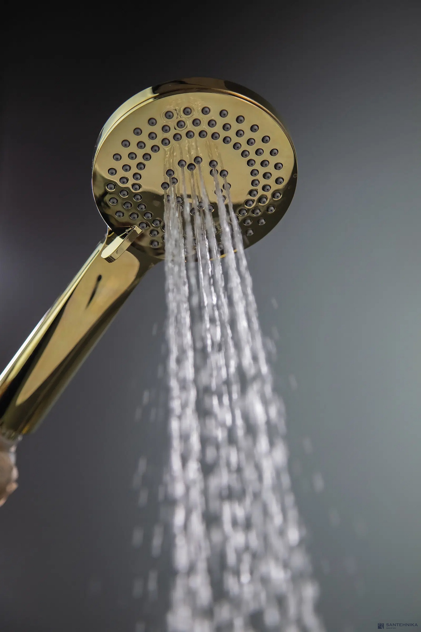 Ручной душ Deante Arnika NQA Z51S