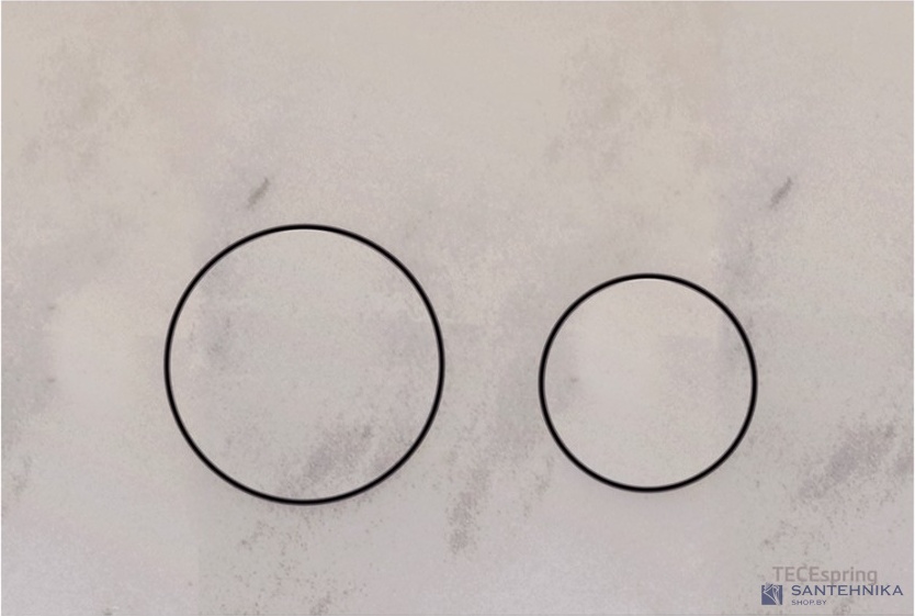 Смывная клавиша TECEspring loop S240610