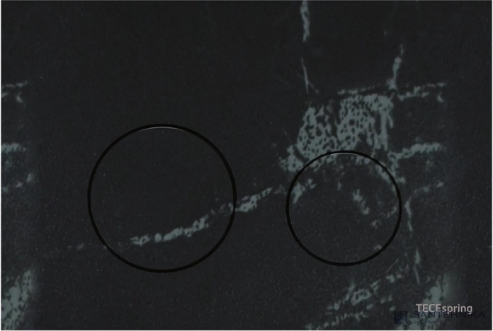 Смывная клавиша TECEspring loop S240611