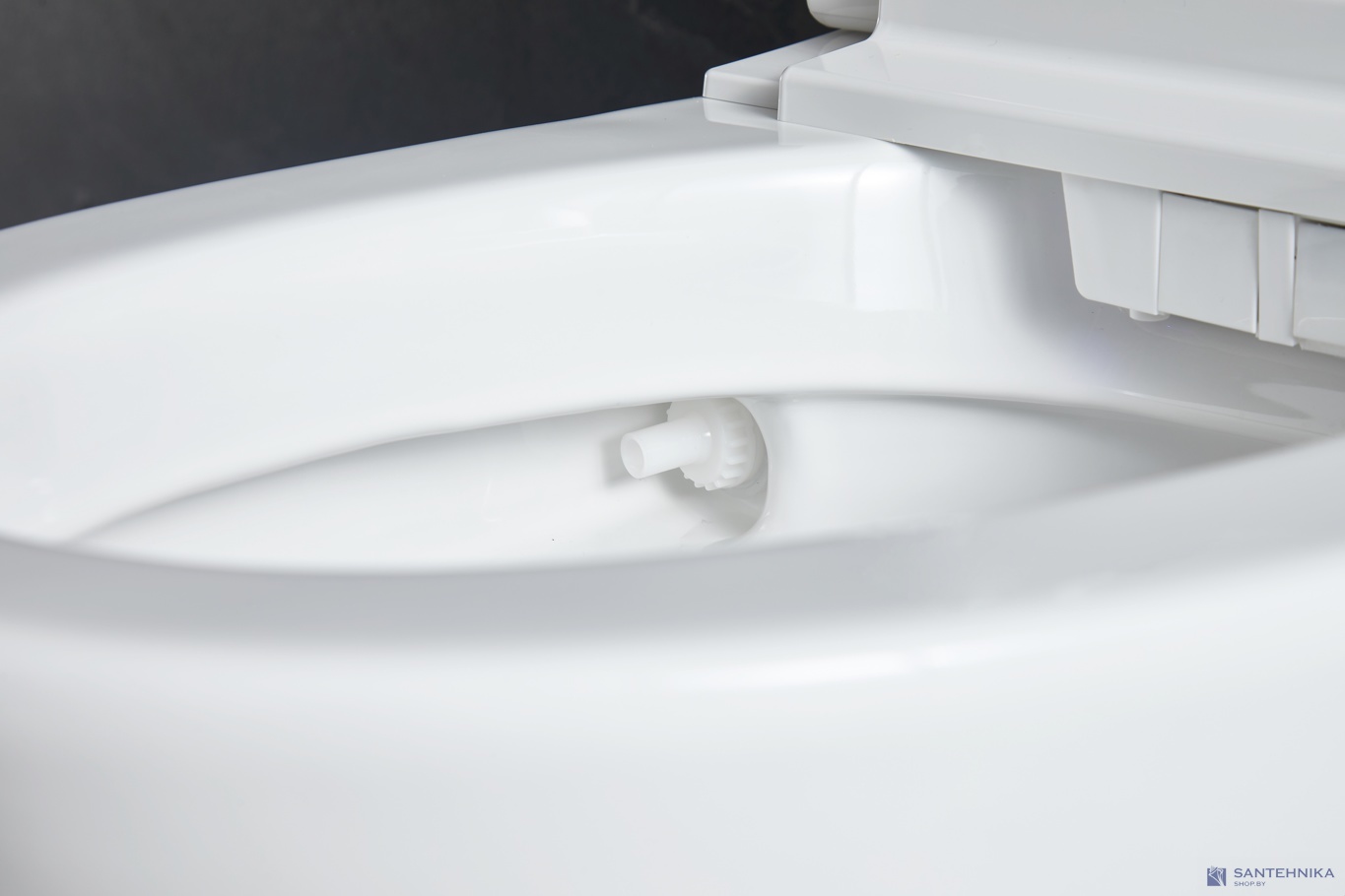 Умный приставной унитаз Roxen Smart Simple 670310-02