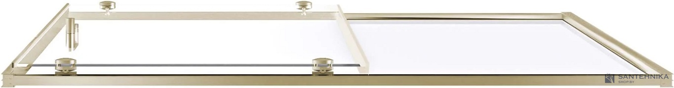 Душевая дверь GooD DooR Lite WTW-120-C-BG