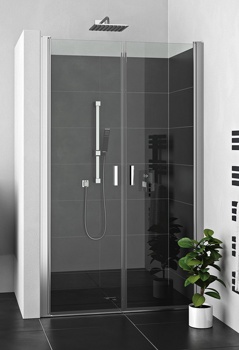 Душевая дверь 100 см Roltechnik Lega Lift Line LZCN2/100 - фото